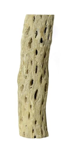 SuperMoss (23491 Cholla Wood, Natural, 1pc (12in)