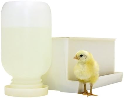 5 Pound Chick Feeder with 1/2 Gallon Waterer & Non-Drown Base