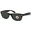 Tortoise Frame Polarized Solid Lens