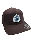 Pacific Crest Trail Flexfit HAT with Woven PCT Patch (Brown, L/XL)