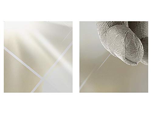 Runa Art la Creazione di Adamo Michelangelo Murali...