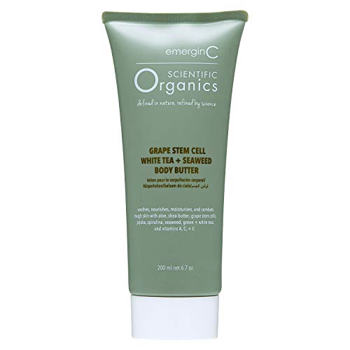 Emerginc Scientific Organics Grape Stem Cell, White Tea + Seaweed Body Butter - Nourishing Plant Stem Cell Cream With Vitamins A, C, E For Dry Skin (6.7 Oz, 200 Ml) #TOP6