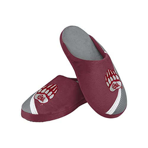Image of FOCO Men's NCAA 2022 Big Logo Color Edge Slipper