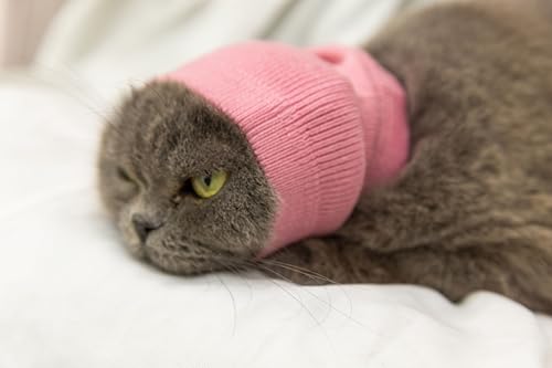 Image of Cat Head Cover Hematoma Lightweight Snood Covers Ear Wrap for Cats Wine+Grey-S