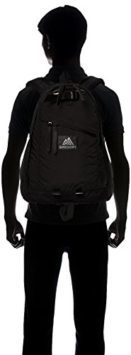 レビュー 4年ぐらい使ったグレゴリーのデイパックhdナイロン ド定番 Blog コレです Bloコレ