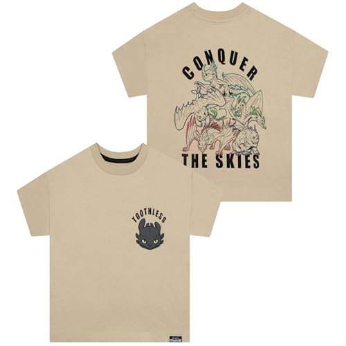 Image of How To Train Your Dragon Shirt And Shorts, Toothless Boys Tshirt And Boys Shorts, Dragon Cotton T Shirt Outfit Set