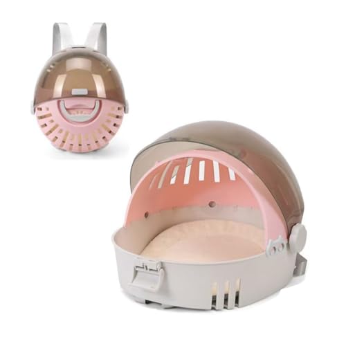 [Figoday] ybgobO h[^ ^Ep Rbgpbh 莝ybgP[W yʂŎ^т₷ @\݌v ʋCǍD AEghA◷sɍœK a@EUEԓŕ֗ 萫̂ybgL[ obO (D)