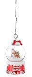 Ganz Snowglobe Special Teacher Decorative Hanging Ornament, 2.5-inch Height, Plastic, SGX4224