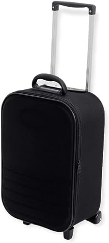 Mala de Viagem de Bordo 10kg bagagem de mão Padrão ANAC Rodas 360