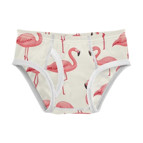 Wusikd Pink Flamingos Boys' Underwear Cotton Boys Briefs Soft Toddler Underwear 2T