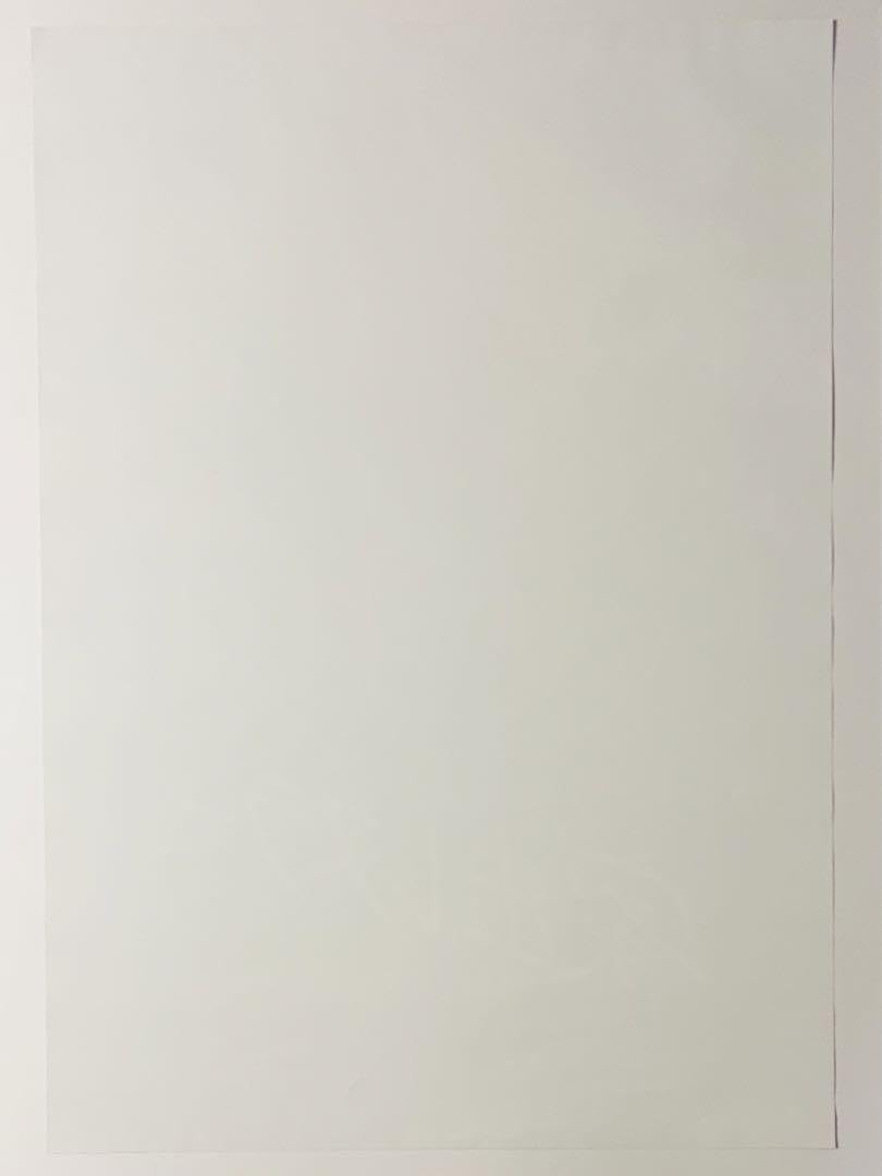 Amazon.co.jp: 家出レスラー B2ポスター 岩谷麻優 平井杏奈 スターダム