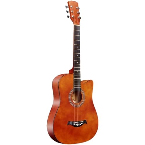 Eyawe 38C` tH[NAR[XeBbNM^[ S tH[NM^[ S҃Gg[Zbg KpM^[ (C)