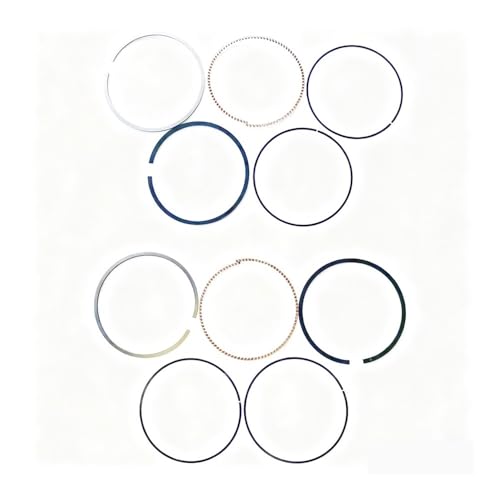 Segments de piston pour O 400 650 800 HD8 HD10 | Kit moteur 420685244