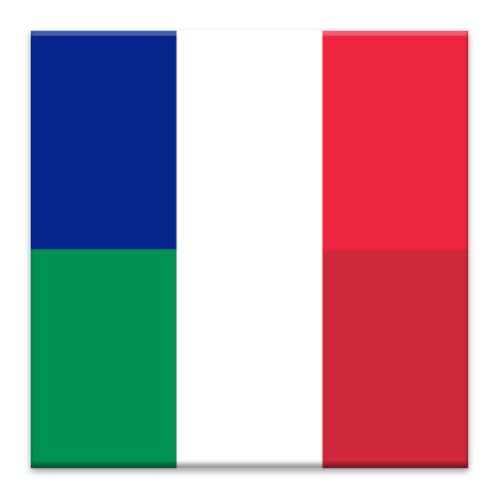 Offline French Italian Dictonary