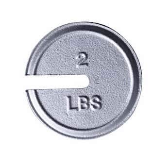 Poids à fente Avoirdupois de 0,2 kg diamètre 9,5 cm lot de 2 masses étalons Troemner certifiées