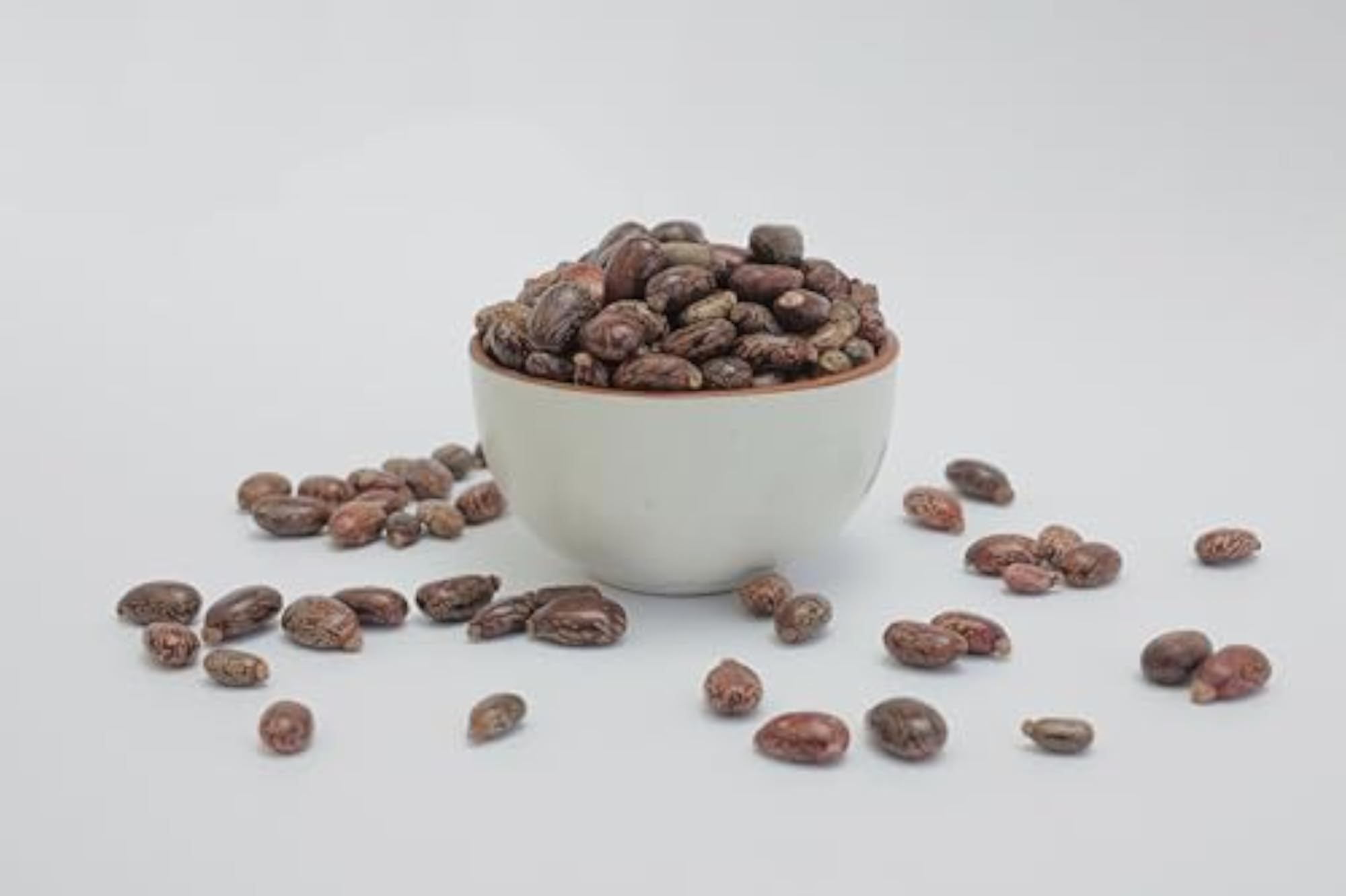 OGOC Natural Castor Seeds, 100g