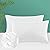 Codi Outdoor Lumbar Pillow Inserts 12x20 Set of 2, Water Resistant Throw Pillows Insert for Patio Furniture and Porch