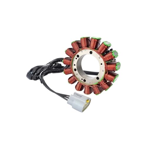 Bobine de stator de générateur de moto T800 800XCA T1300043