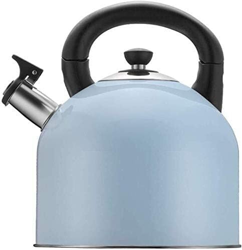 Bouilloire à gaz sifflante en inox 304 grande capacité pour thé et café