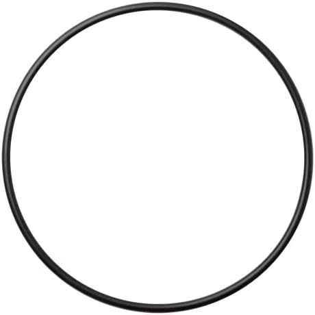 Sta-Rite Max-E-Pro Seal Plate O-Ring O-240 U9-228A