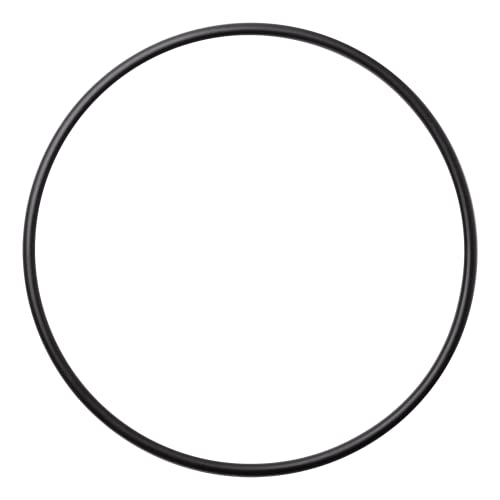 Sta-Rite Max-E-Pro Seal Plate O-Ring O-240 U9-228A