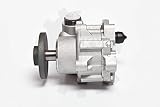 Lenkung Hydraulikpumpe 10SKV123
