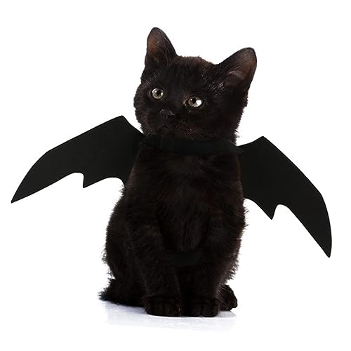 BELLIFFY ybgpNRX`[ ^ L߉\ y g