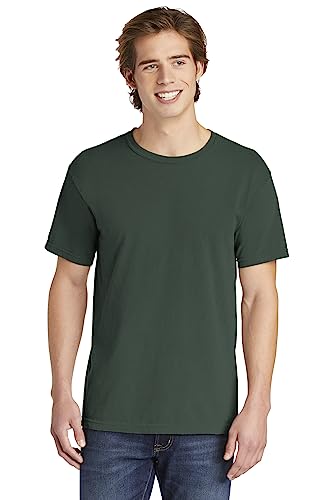 Image of Comfort Colors Adult Short Sleeve Tee, Style G1717