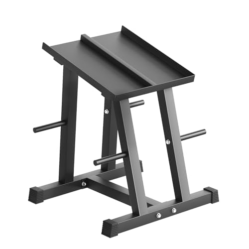 HANDBODE Adjustable Dumbbell Rack with Plate Storage, 500 lb Capacity, Space-Saving Storage Organizer for Classic Dumbbells, table for dumbbells, Heavy Duty Column Stand for Home Gym
