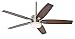 Hunter 59039 Windemere 54 in. Indoor Ceiling Fan with Light and Remote - Brushed Nickel