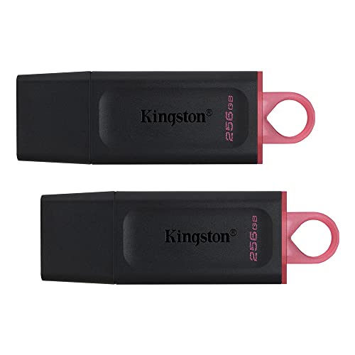 Kingston DataTraveler Exodia 256GB clé USB 3.2 PC Mac double