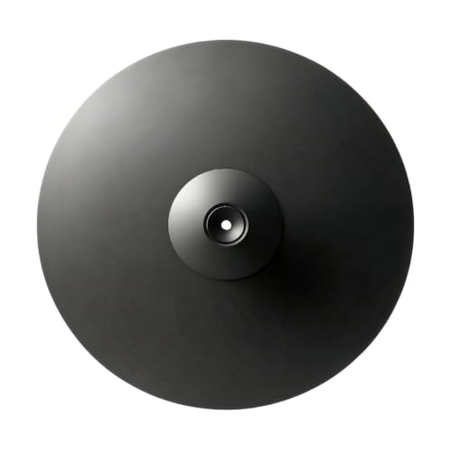 KiBcsLic Electronic Drum Impact-Resistant with Mounting Hub Percussion Accessory for Practice, 12 Inch