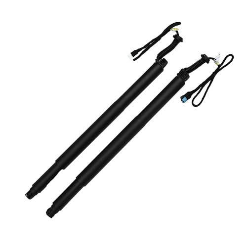 X AUTOHAUX Rear Left Right Tailgate Power Lift Support for BMW X6 F16 F86 2014-2019 Liftgate Power Hatch Shock Strut No.51247434043 Electric Trunk Power Liftgate Actuator 1 Pair