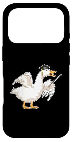 Aq 搶 w_ wZ X}zP[X iPhone 17 Pro p