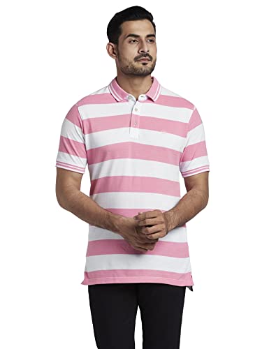 Image of Colorplus Men's Cotton Polyester Blend Stripe Pattern Tailored Fit Polo Neck Half Sleeve Casual T-Shirt