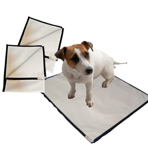 Tapetes Higiênicos Reutilizáveis e Laváveis para Cães Tam M (60 x 70cm) (Borda Sortida) (Borda Sorti
