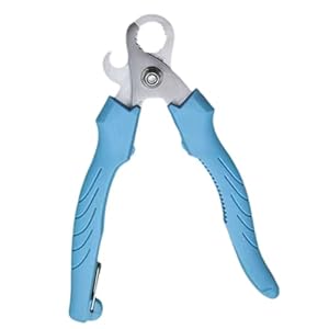 Stainless Steel Kitchen Scissors, Professional Escargot Cutter, Non-Slip Shell Remover, Comfortable Grip Snail Tail Clipper, Sturdy Seafood Tool, Efficient Food Prep, 6.42×2.17in