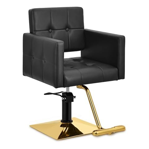 Dangvivi Hair Salon Chair for Hair Stylist Wide Seat, Hydraulic Barber Chair for Home, Beauty Salon Styling Stylist Armchair, Spa Cosmetology Shampoo Hairdressing Braiding Armchair Cover