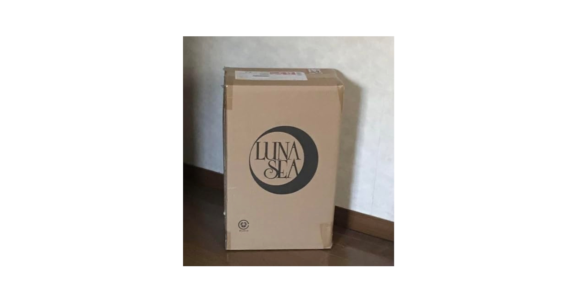 Amazon.co.jp: LUNA SEA 500 Count Carry Bags : Toys & Games