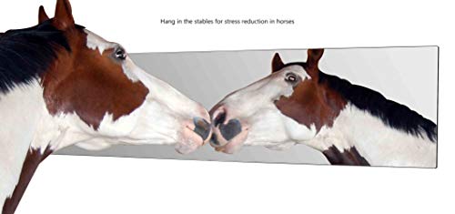 Marketing Holders 12" X 48" Acrylic Mirror Sheet Edge With Film Masking Lightweight Durable Ideal For Home Architectural Design Kids Vanity Gym #TOP3