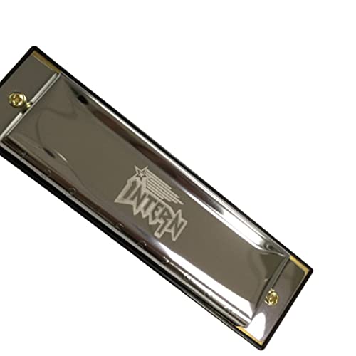Image of Intern KEY C 10 Hole Diatonic Blues Mouth Organ Harmonica for Professional Player, with case and cleaning cloth (Silver) (INT-HA01C)