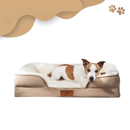 Premium Medium Dog Bed with Certified Orthopedic Memory Foam | Removable, Washable, and Breathable Dog Bed | Waterproof Cover (LARGE) - Image 3