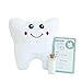 Cairn Co. Tooth Fairy Pillow Kit with Keepsake Notepad and Magic Glitter – for Boys and Girls – Hanging Option – Fun for Kids – 3 Piece Set