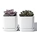 POTEY Square Succulent Plant Pot - 3.5 Inch White Ceramic Small Planters for Cactus Succulent with Drainage Hole & Saucer, Set of 2