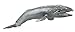 Gemini&Genius Sea Animal Gray Whale, Large Grey Whale Realistic Wildlife Toy Replica Hand Painted Whale Figurine, Ocean Model Toy, Educational, Role Play, Swim, Bath and Collectors for Kids
