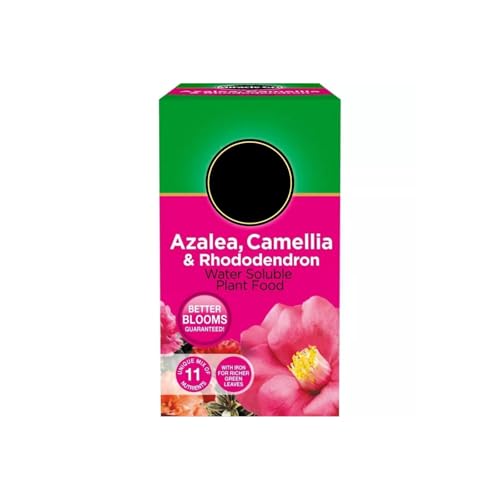 Miracle Gro Soluble Ericaceous Plant Food 500g Fertiliser for Azalea, Camellia, Rhododendron, Blueberries & Acid-Loving Plants Fast Growth, Greener Leaves & More Blooms Pink - 1 Pack (500g)