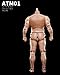 MOLAOLAO ATM01 Normal Ver. 16 Scale Action Body Male Body Without Head (Inspection Tbleague Worldbox JIAOU DOLL Desan