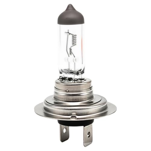 Headlight Bulb, High Brightness Professional Universal Weatherproof Vehicle | Night Driving Warning Lamp for Road Trips, Commuti