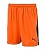 Price comparison product image PUMA LIGA Shorts Jr