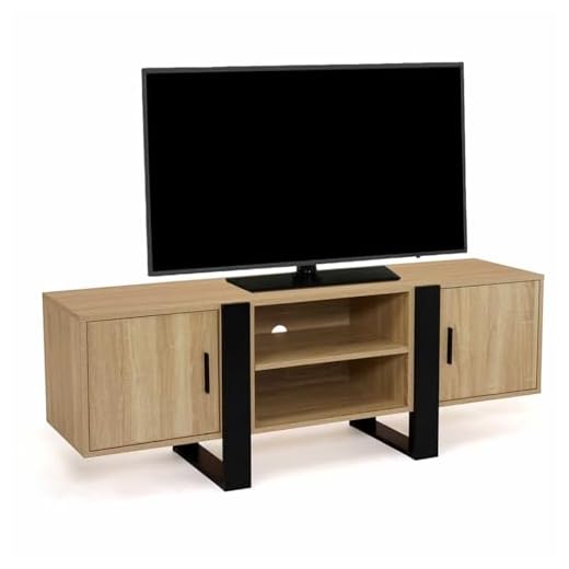 IDMarket - Meuble TV 140 cm Phoenix 2 Portes Bois et Noir